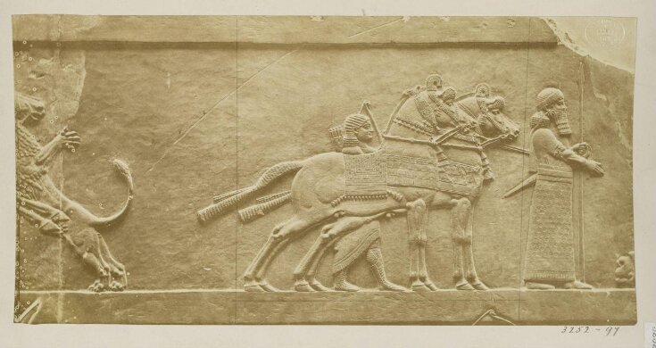 Assyrian relief depicting horses and warriors, British Museum, London top image
