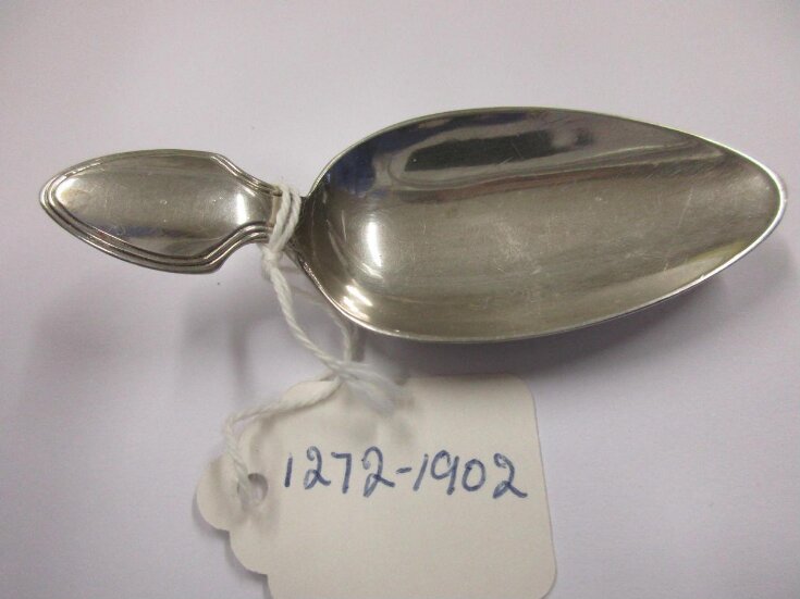 Caddy Spoon top image