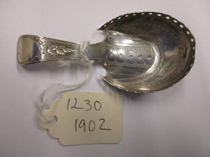 Caddy Spoon top image