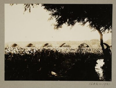 North side of the bridge of Abu'l Munajja, Qalyub