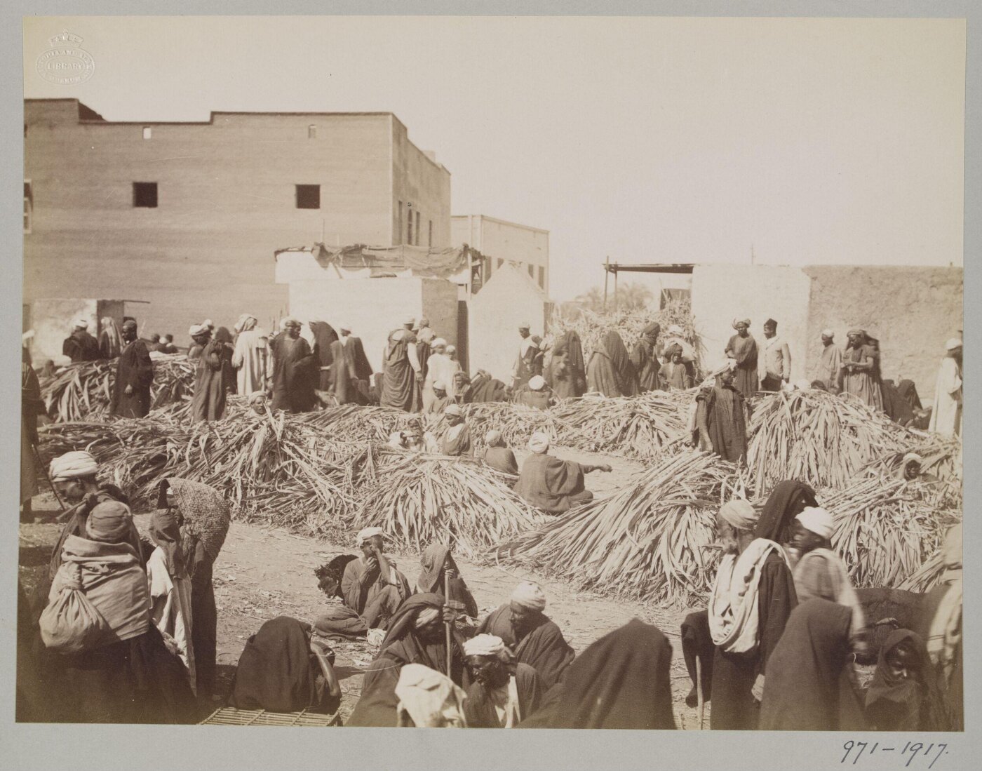 Unknown, Sugarcane market, Luxor