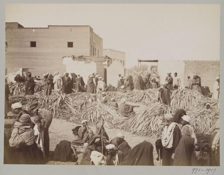 Sugarcane market, Luxor top image