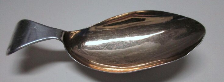 Caddy Spoon top image