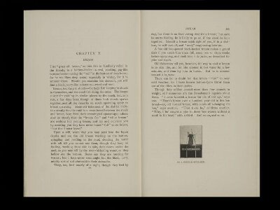 Birds, beasts and fishes of the Norfolk broadland / by P.H. Emerson ; illustrated with sixty-eight photographs by T.A. Cotton