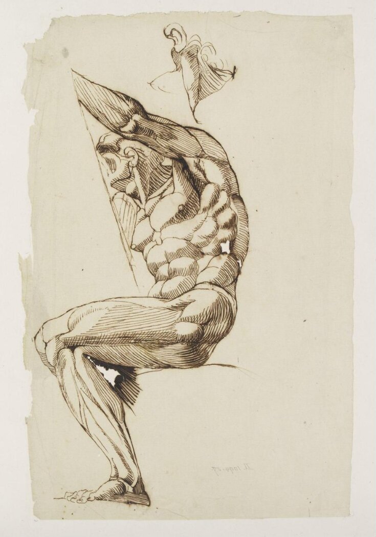 Seated Male Nude Anatomical Study Fuseli Henry V A Explore The