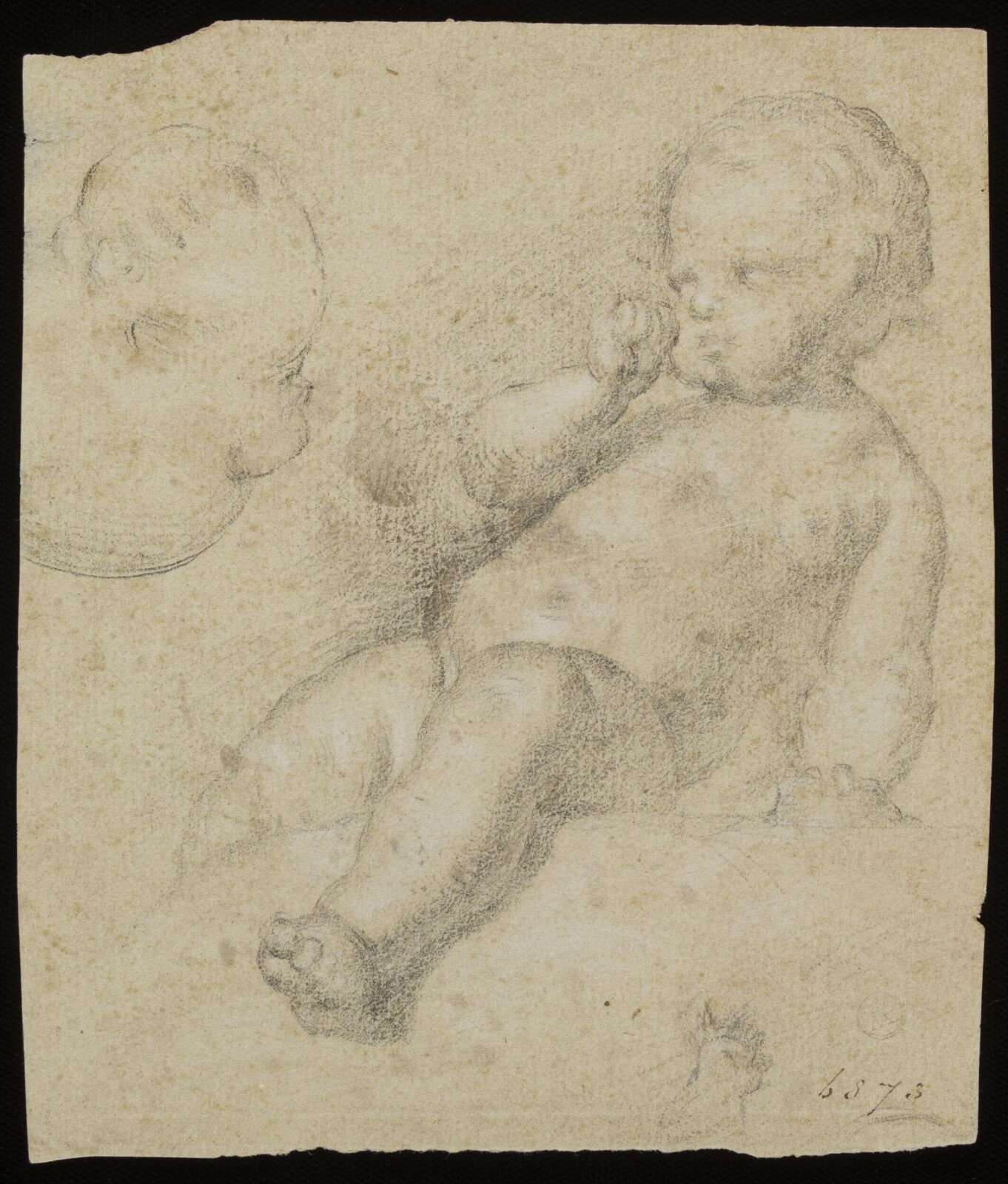 Drawing