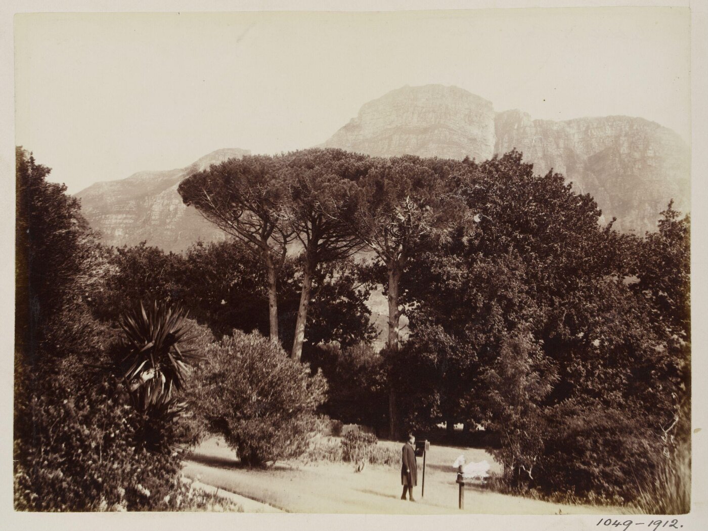 Unknown, Photograph