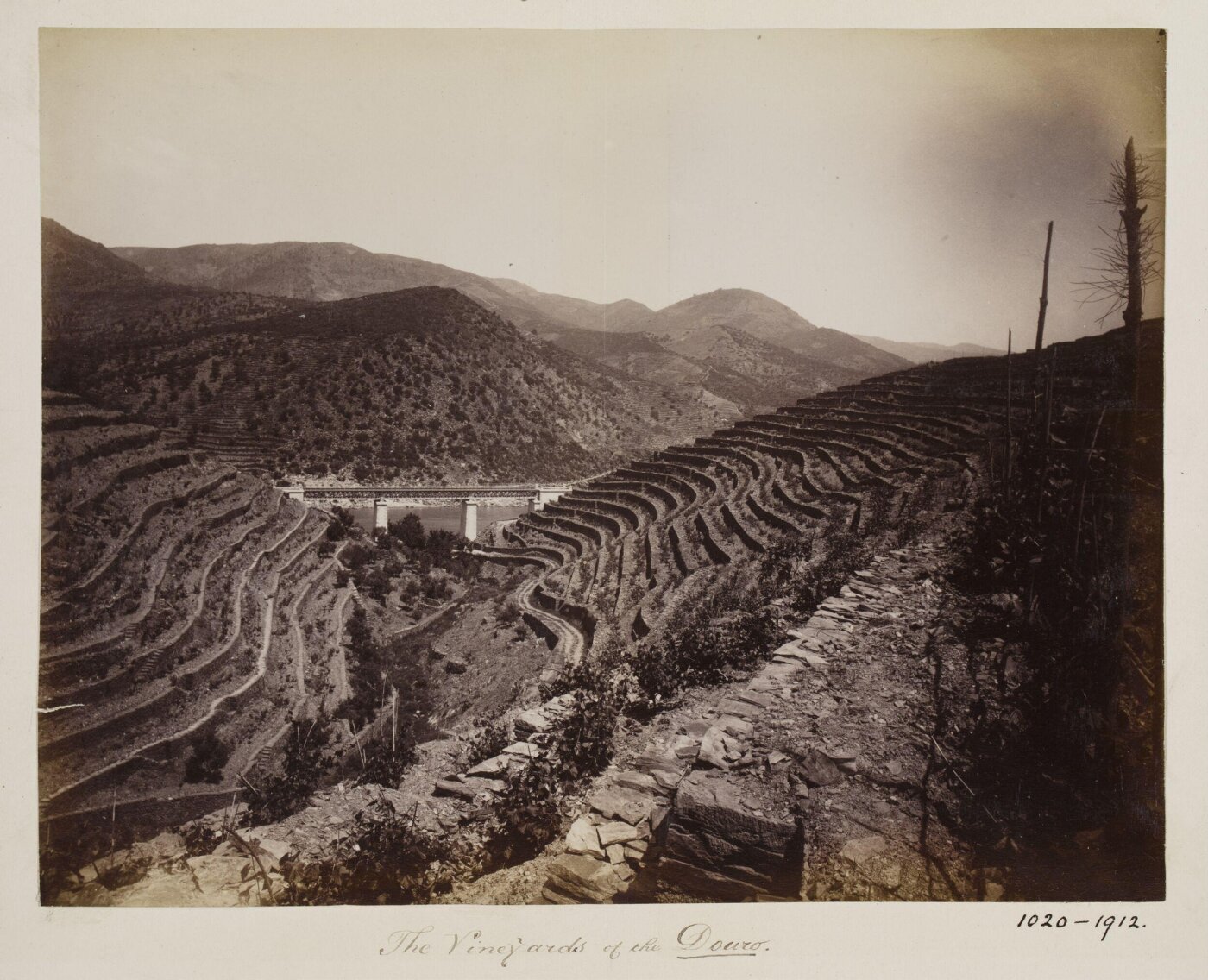 Unknown, Photograph