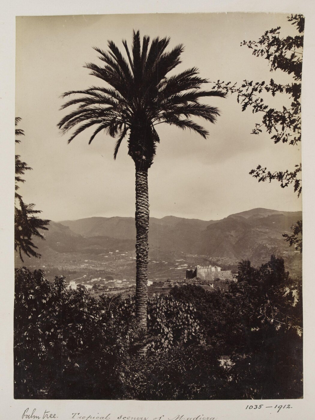Unknown, Photograph