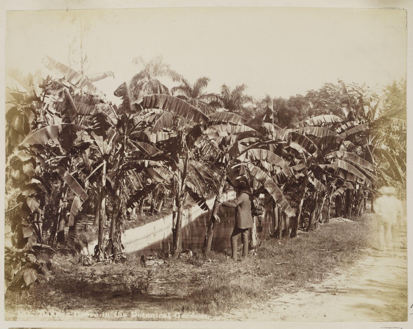 Unknown, Photograph