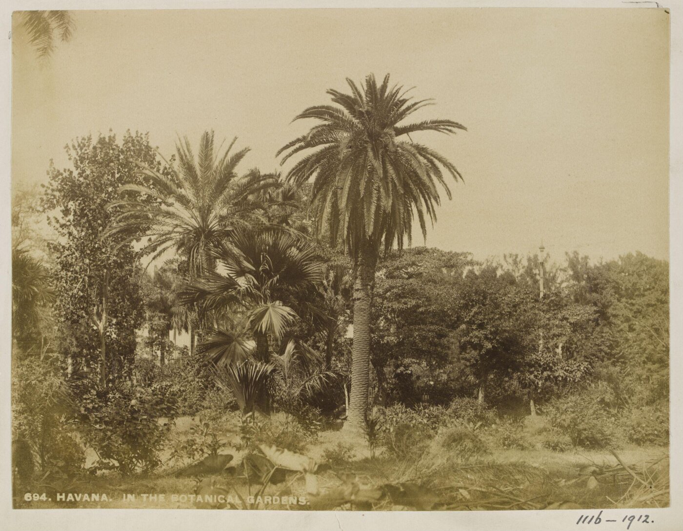 Unknown, Photograph