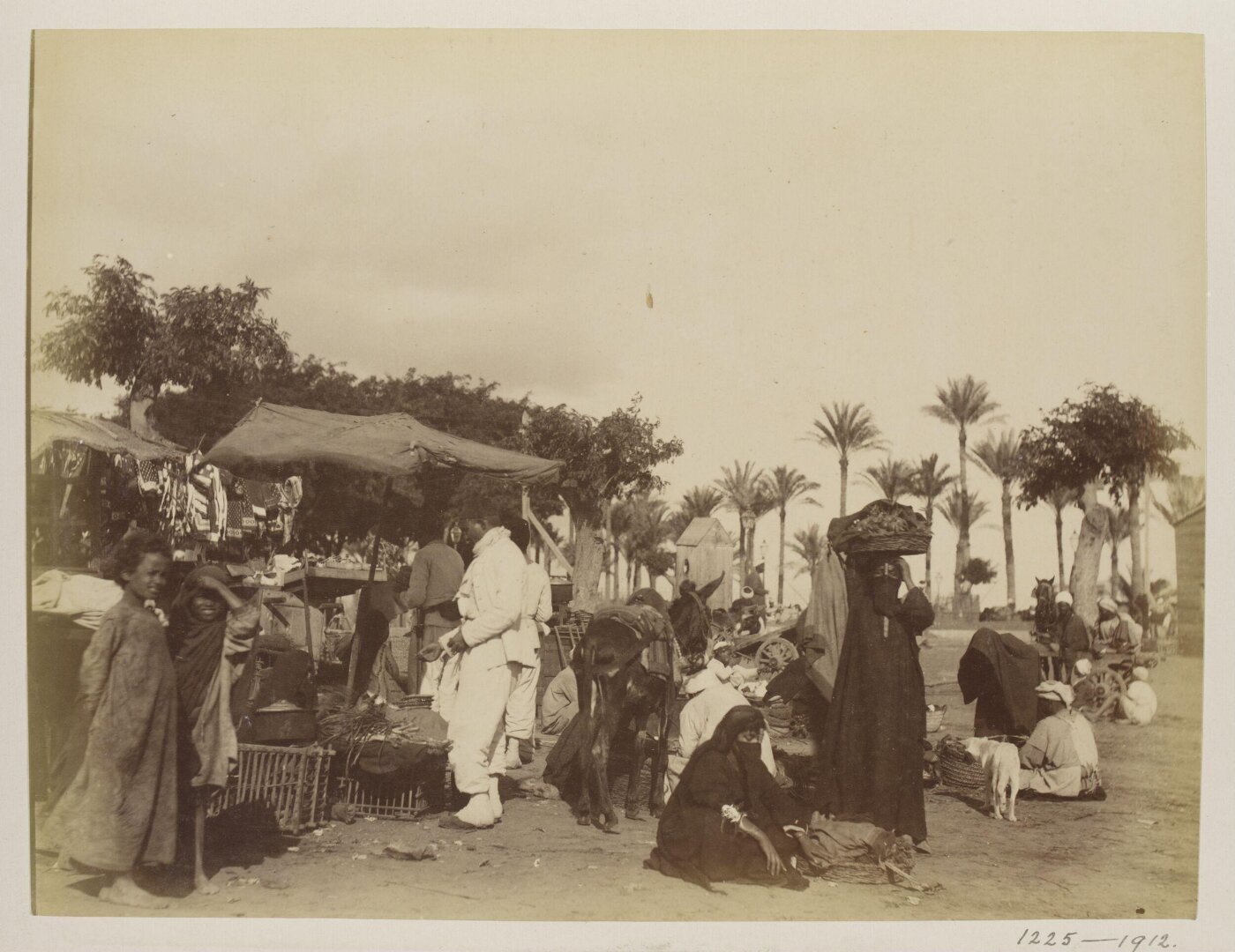 Unknown, Photograph