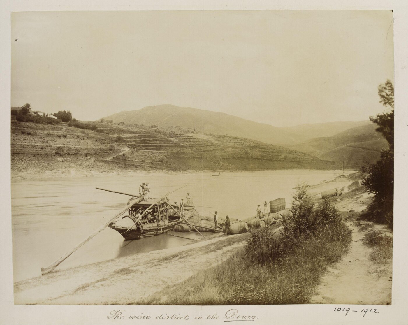 Unknown, Photograph