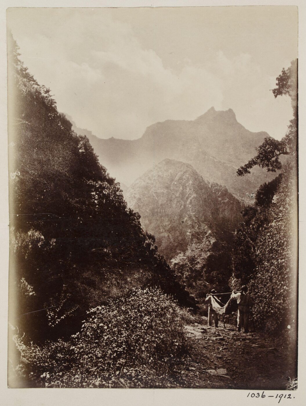 Unknown, Photograph
