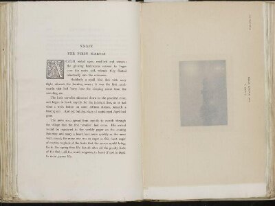 Marsh leaves / by P. H. Emerson ; with sixteen photo-etchings from plates taken by the author