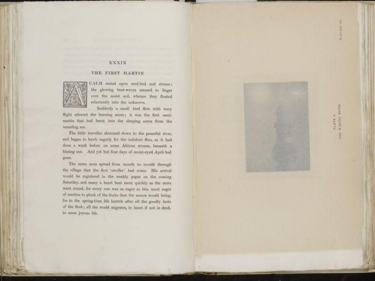 Marsh leaves / by P. H. Emerson ; with sixteen photo-etchings from plates taken by the author top image