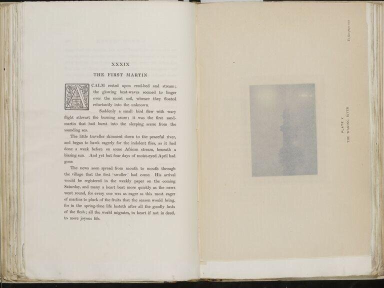 Marsh leaves / by P. H. Emerson ; with sixteen photo-etchings from plates taken by the author