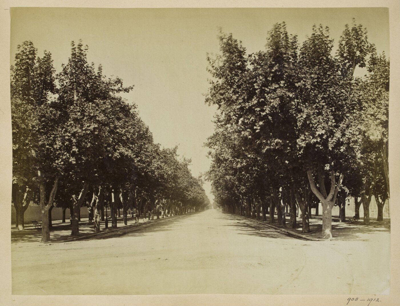 Unknown, Photograph