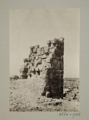 Tower at the Citadel, Hom