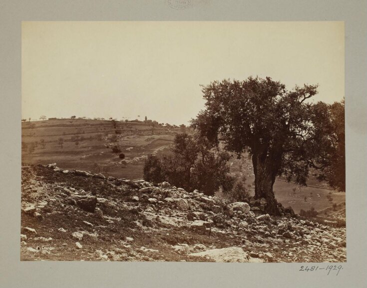 View of Mount of Olives, Jerusalem top image