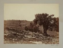 View of Mount of Olives, Jerusalem thumbnail 1