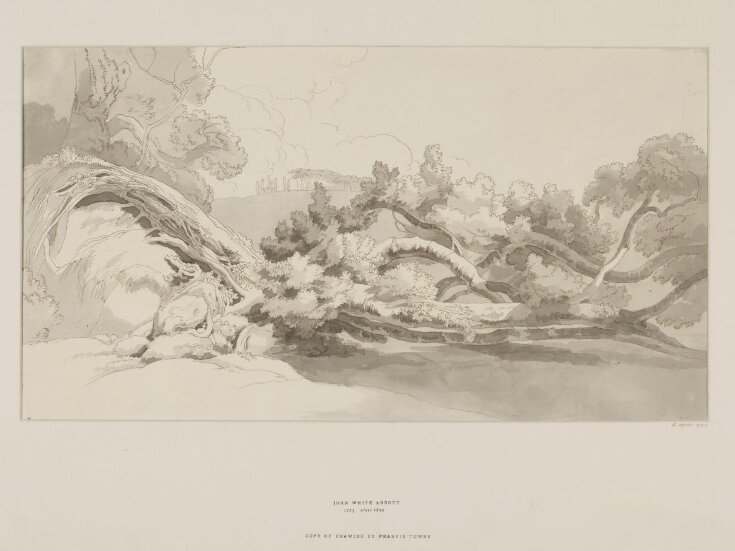 Landscape with Uprooted Tree in the Foreground top image