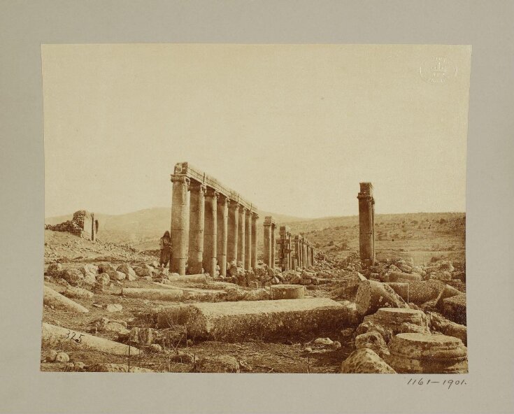 Jordan, Gerasa, View of street from north end showing colonnades top image