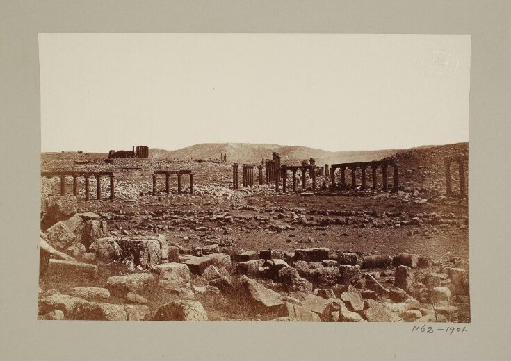 Jordan, Gerasa, View of columns from the south top image