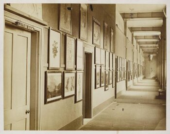 Corridor to female school, National Art Training School, South Kensington Museum