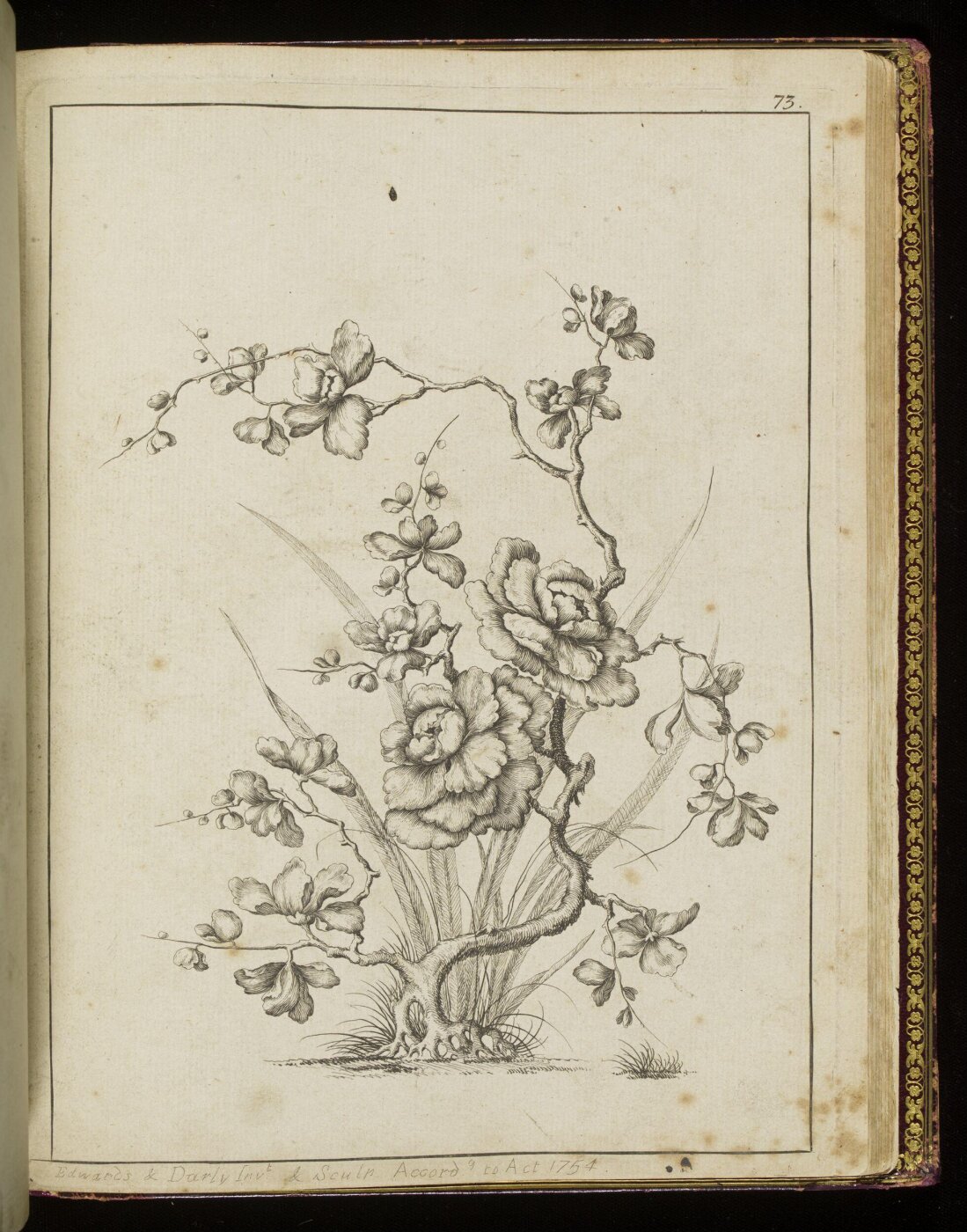 Matthias Darly, A New Book of Chinese Designs Calculated to Improve the present Taste etc.