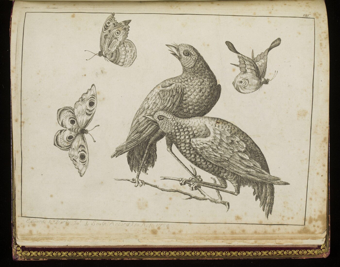 Matthias Darly, A New Book of Chinese Designs Calculated to Improve the present Taste etc.