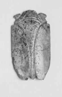 Figure of Cicada thumbnail 1