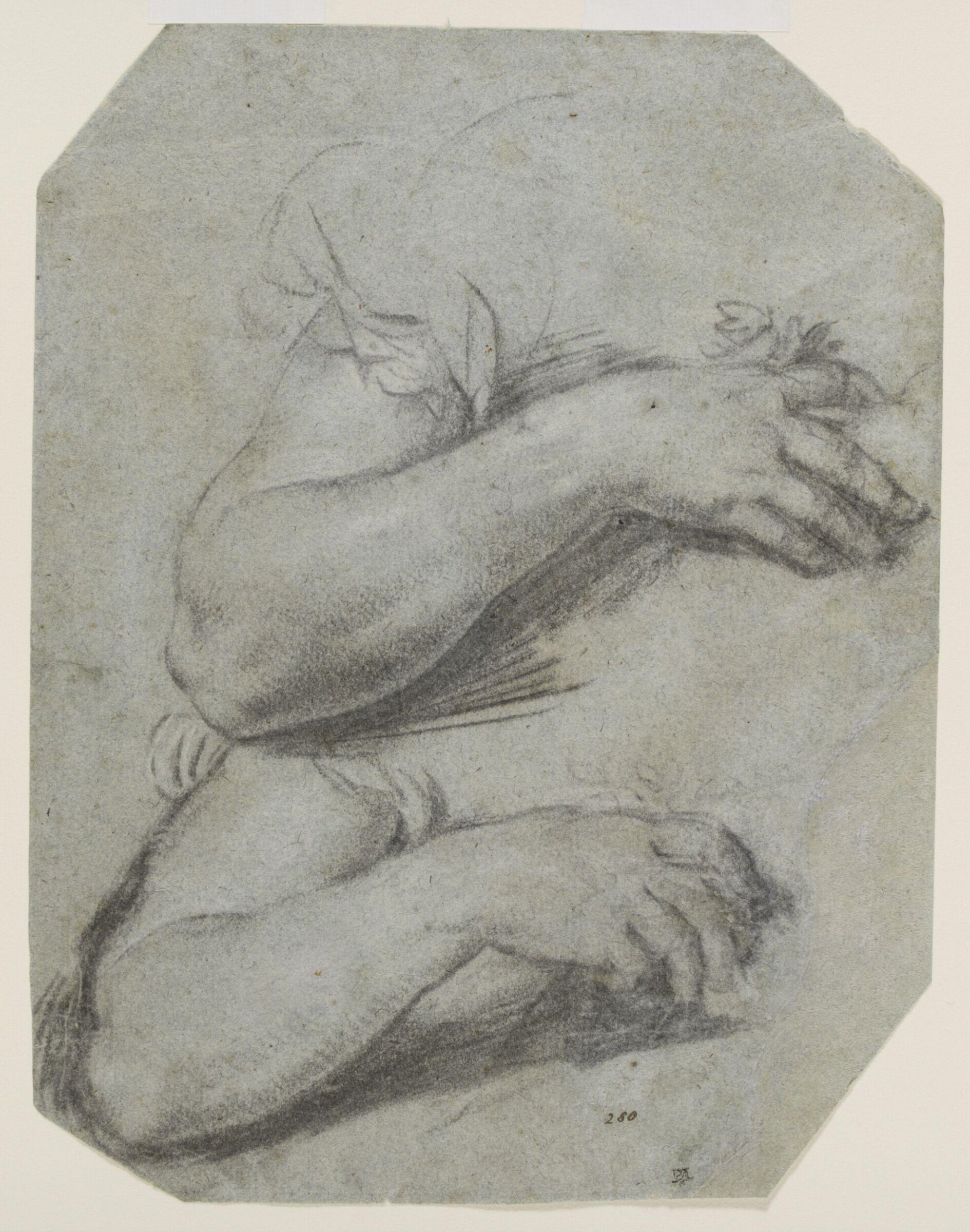 Drawing, Paris Bordone, ca. 1520 - 1540
