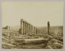 Jordan, Gerasa, View of street from north end showing colonnades thumbnail 1