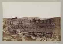 Jordan, Gerasa, View of columns from the south thumbnail 1