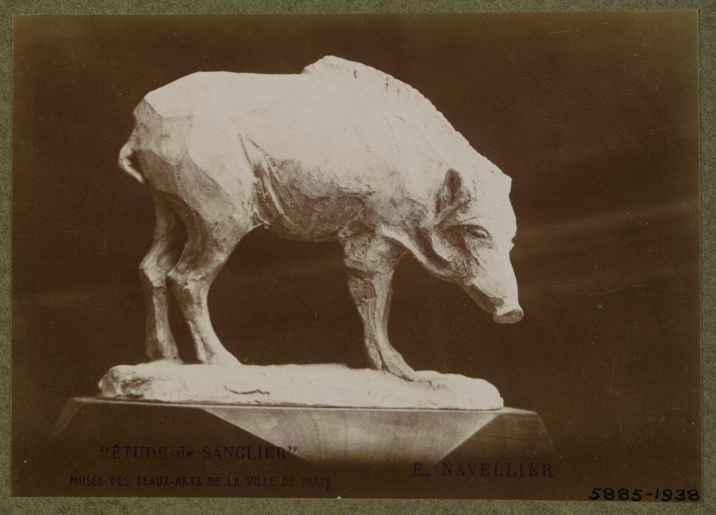 unknown, Photograph