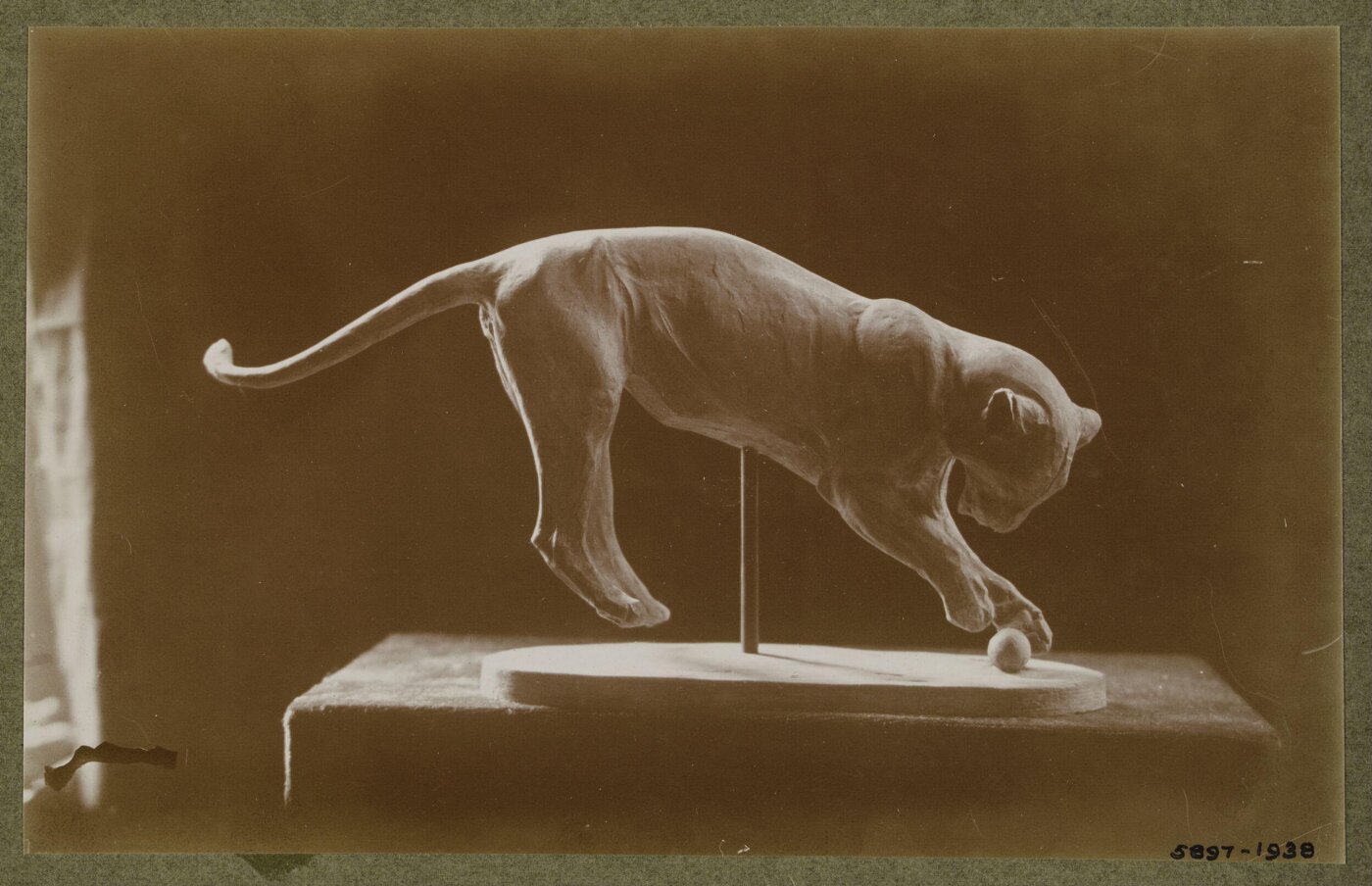 unknown, Photograph