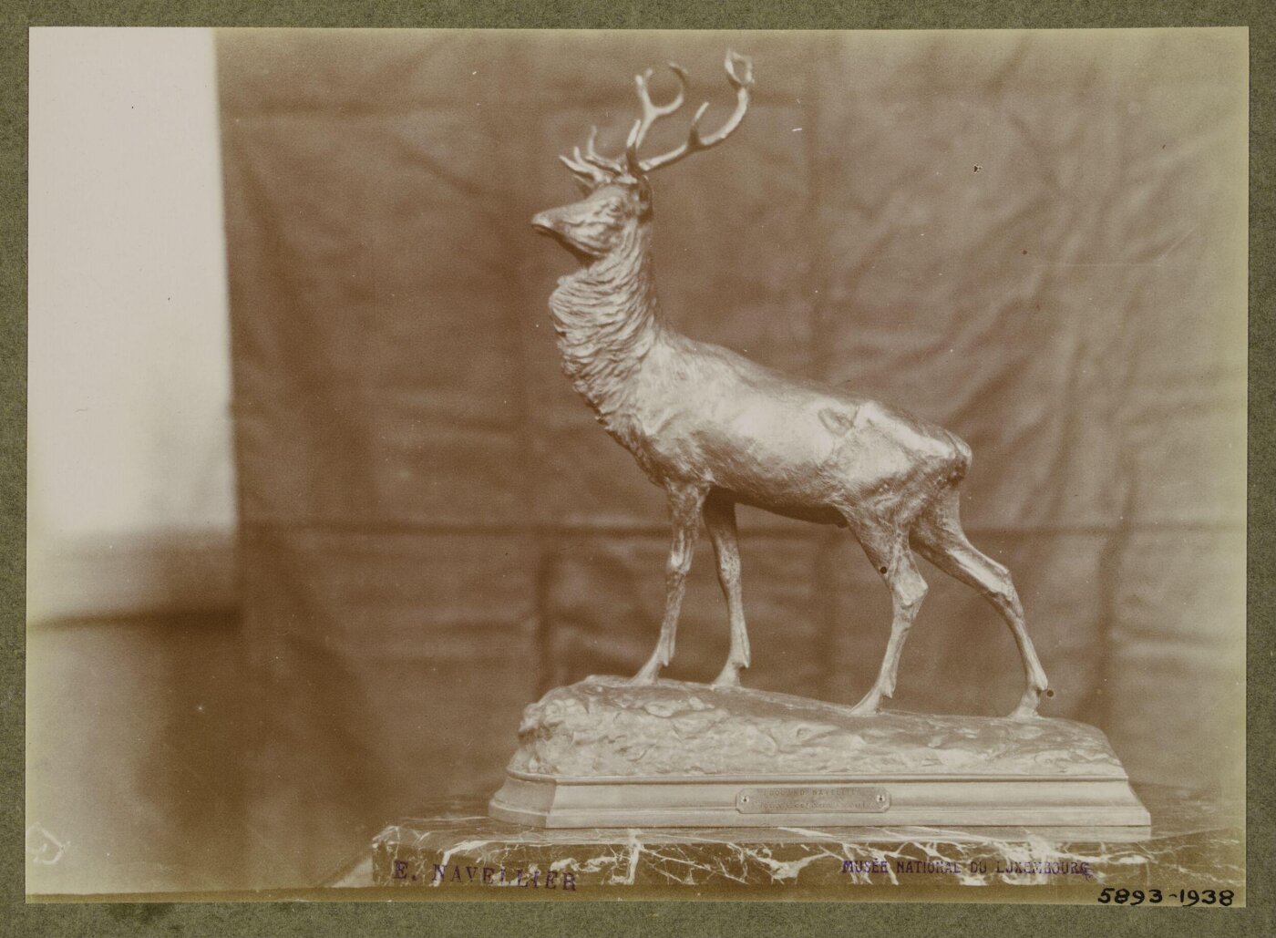unknown, Photograph
