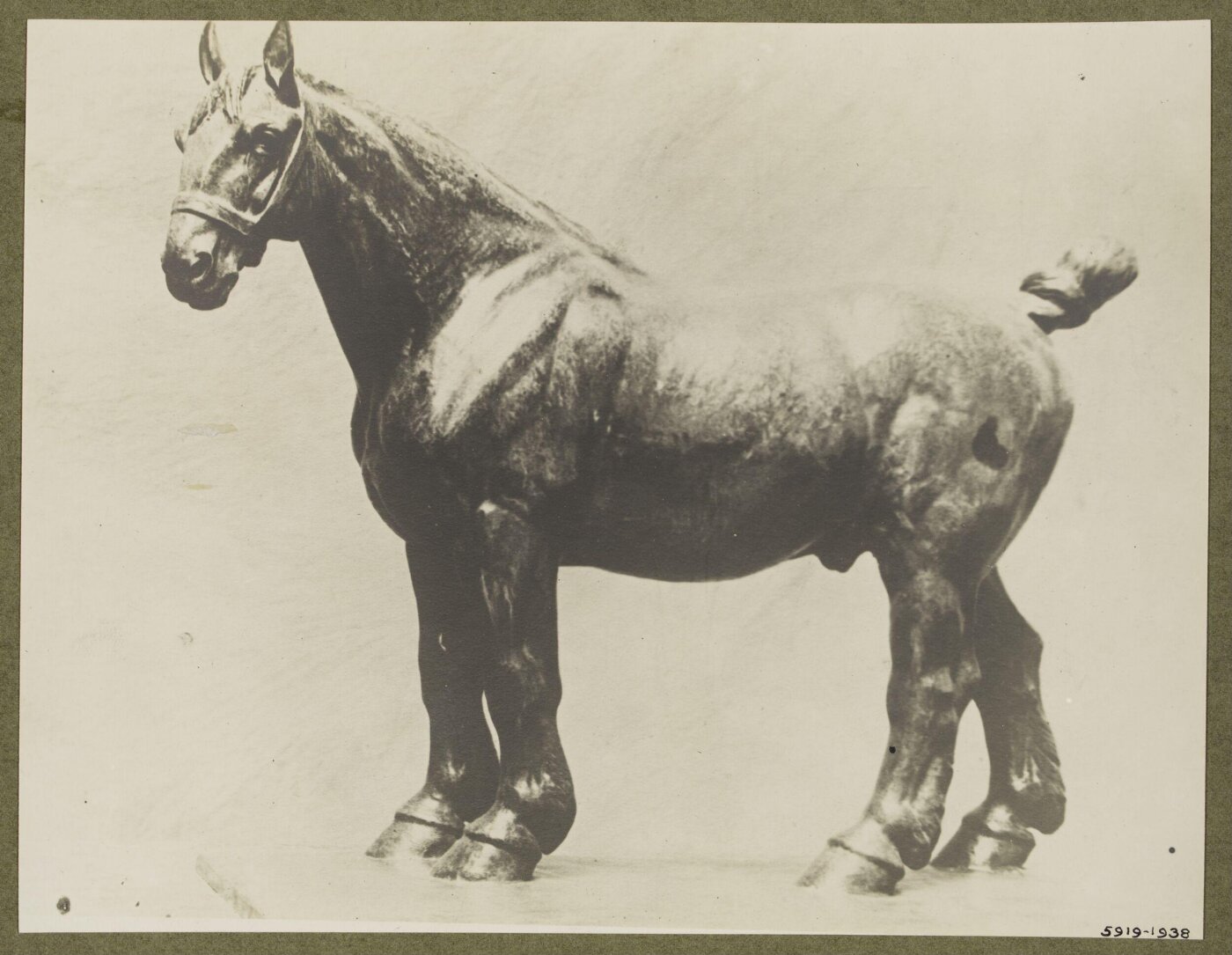 unknown, Photograph
