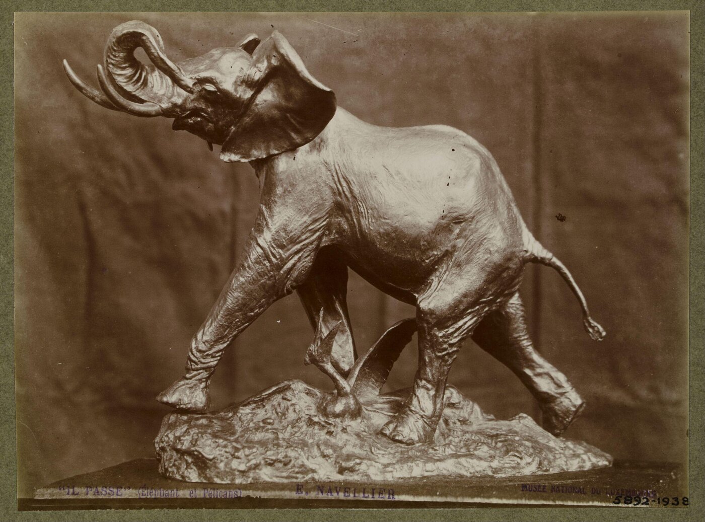 unknown, Photograph