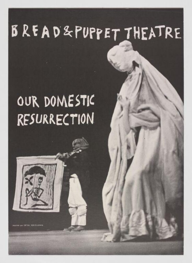 Our Domestic Resurrection image