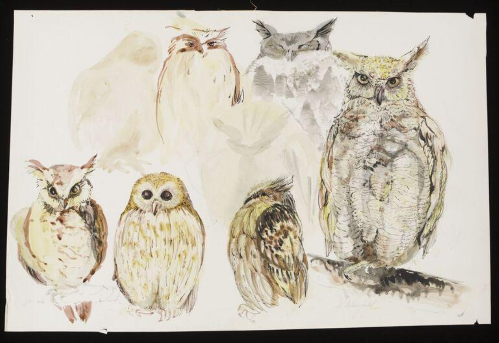 Watercolour, D. Delderfield, XX век