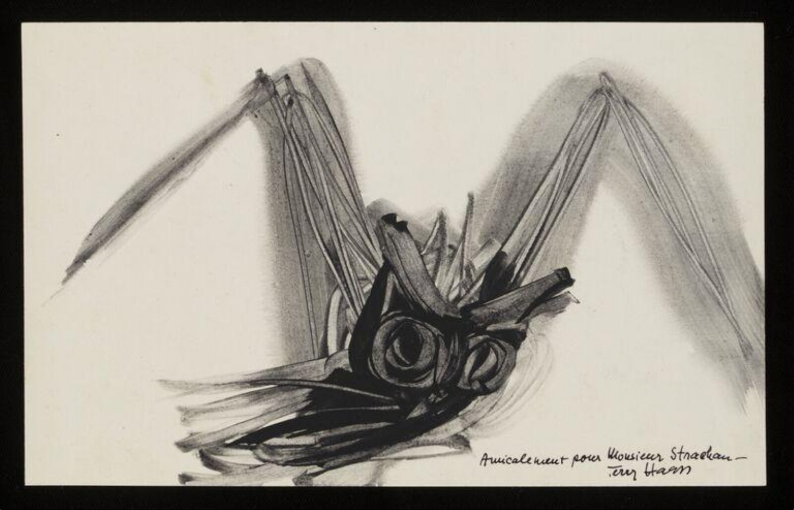 Drawing, Terry Haass, 20th century