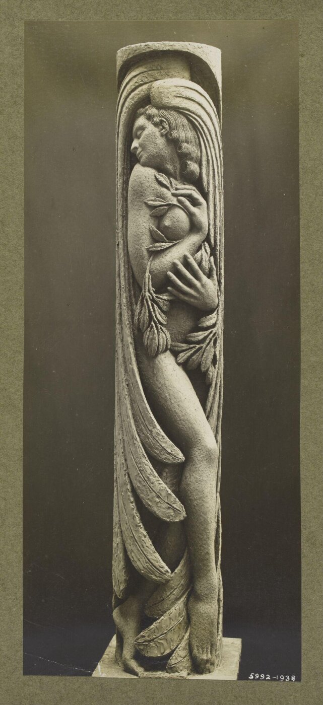 unknown, Photograph