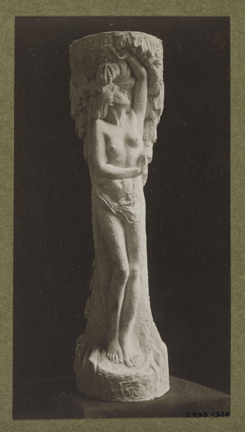unknown, Photograph