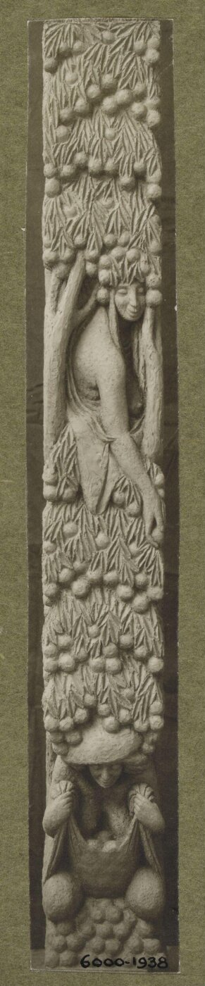 unknown, Photograph
