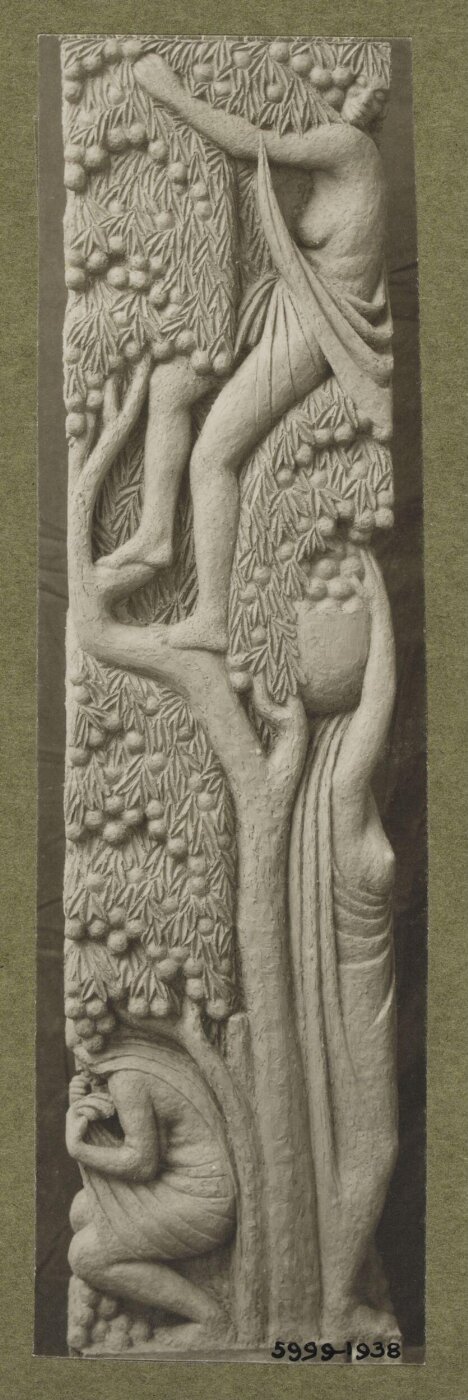 unknown, Photograph