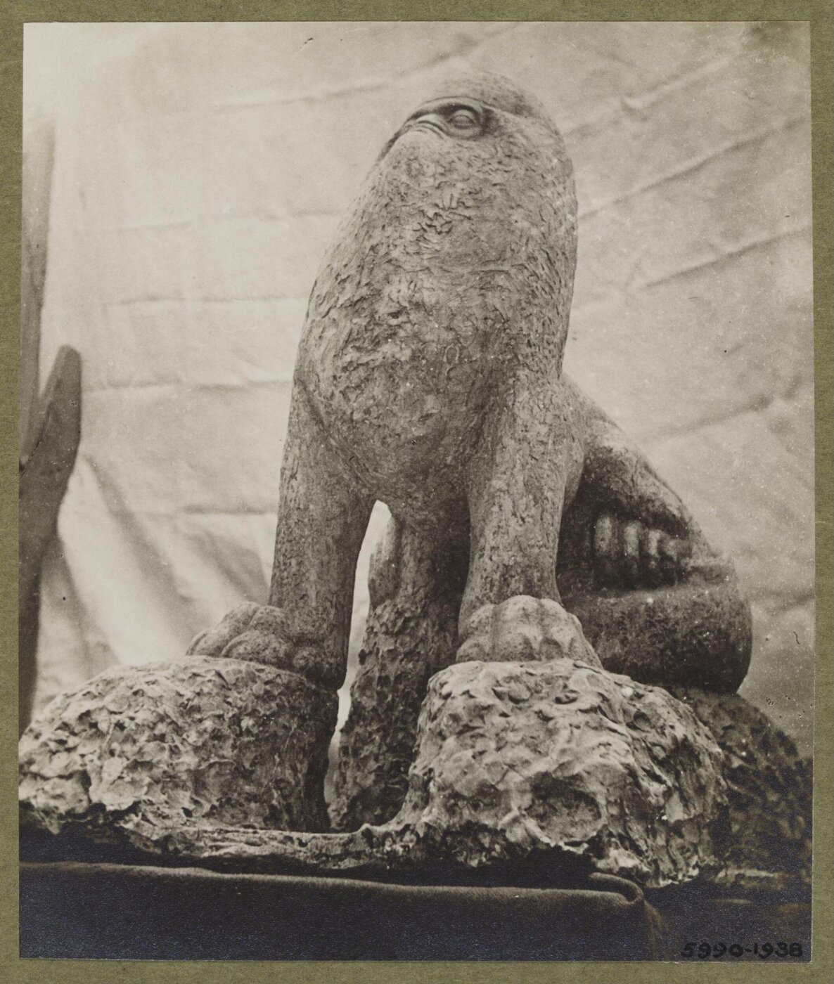 unknown, Photograph