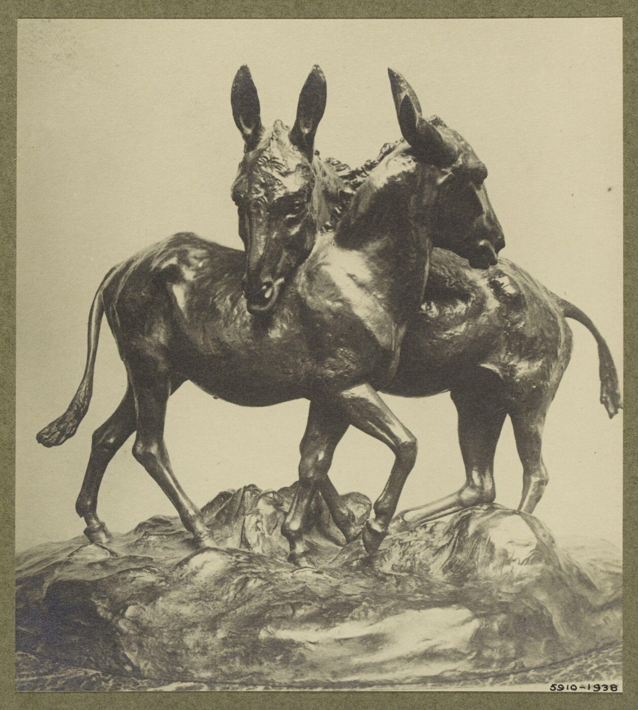 unknown, Photograph