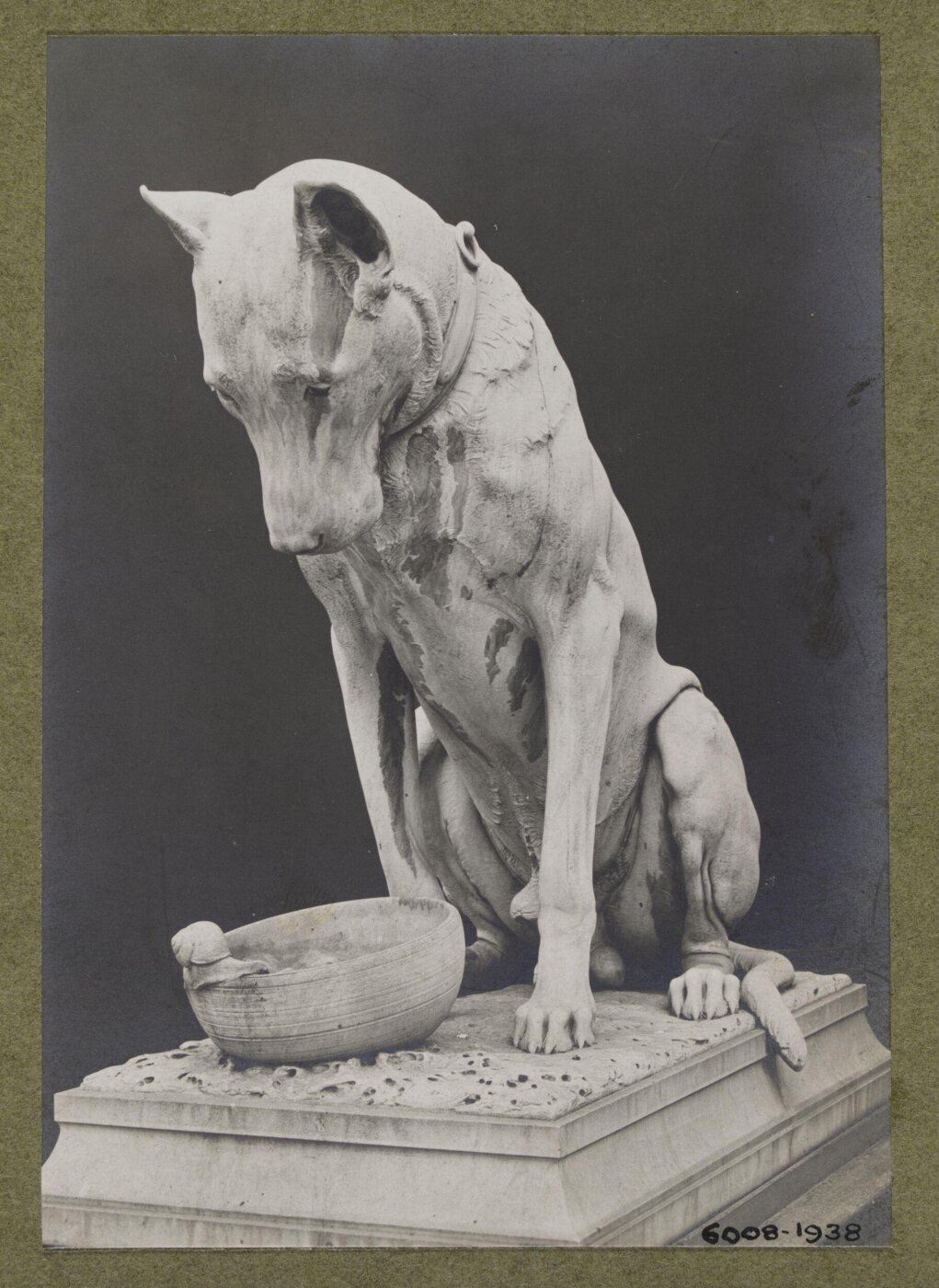 unknown, Photograph